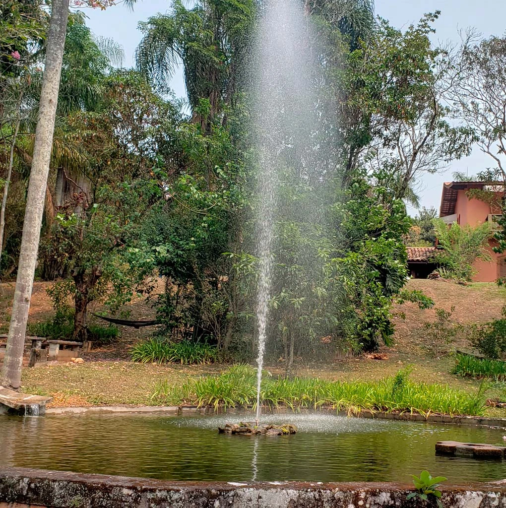 FOTO03