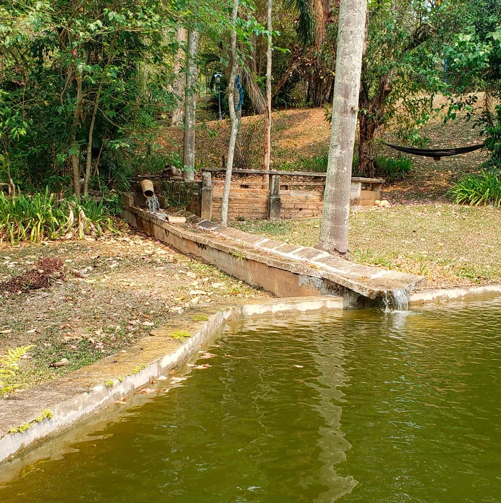 FOTO04